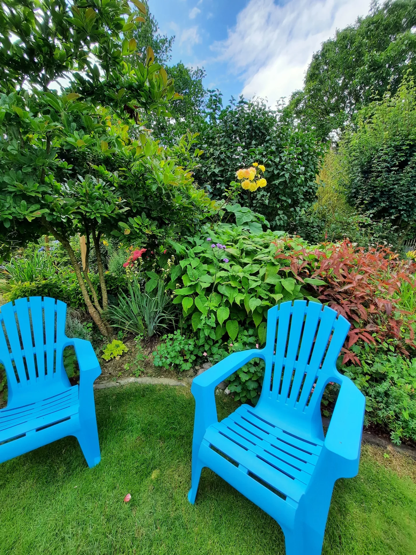 Concert Paysage Paysagiste Dans Les Cotes D Armor 22 Jardin Bucolique 3