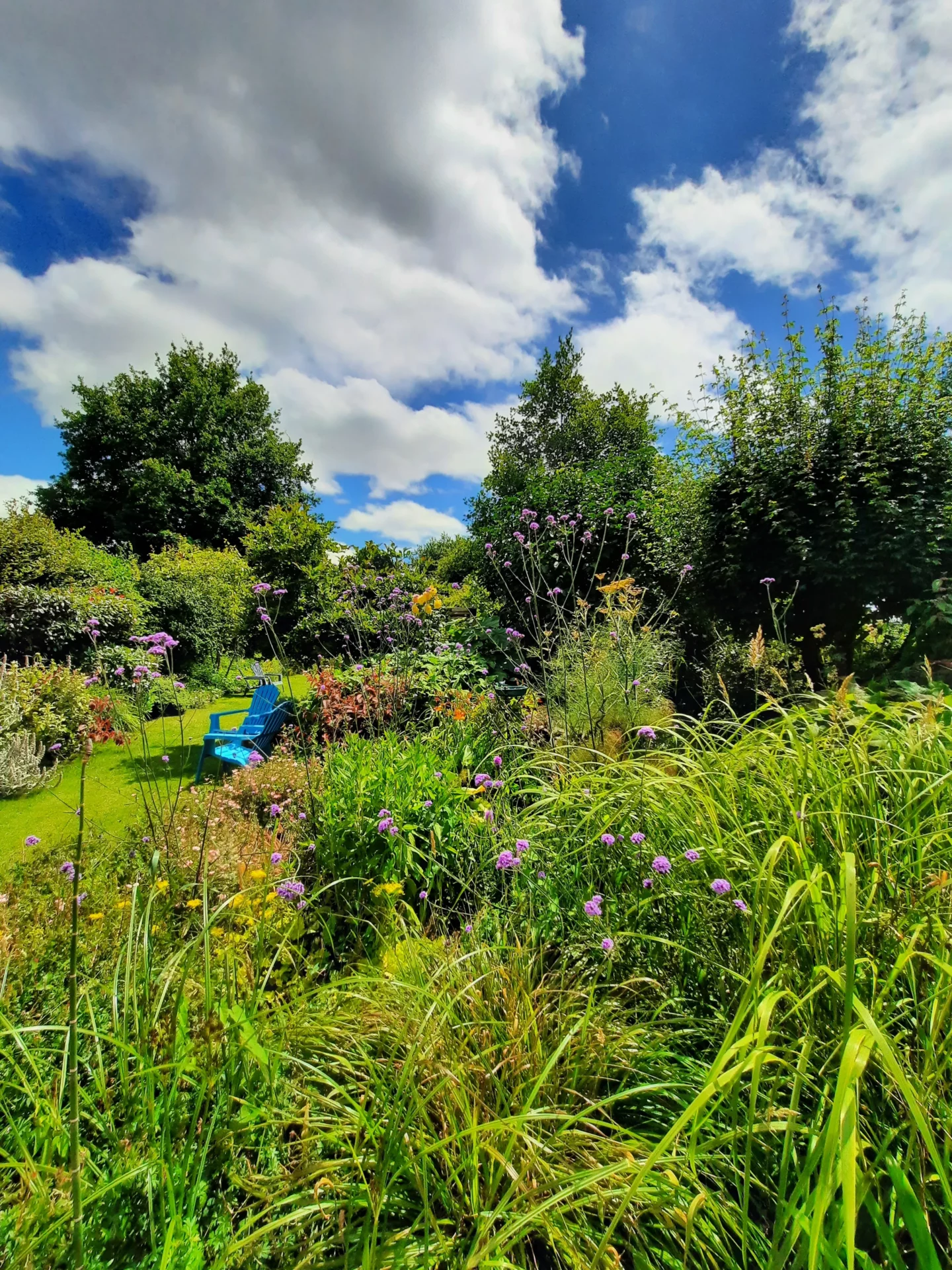 Concert Paysage Paysagiste Dans Les Cotes D Armor 22 Jardin Bucolique 45