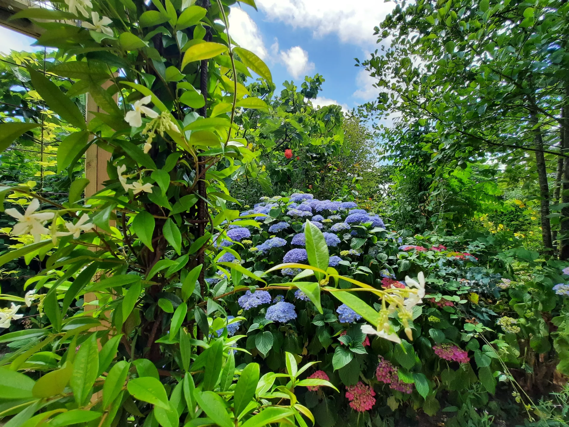 Concert Paysage Paysagiste Dans Les Cotes D Armor 22 Jardin Bucolique 50