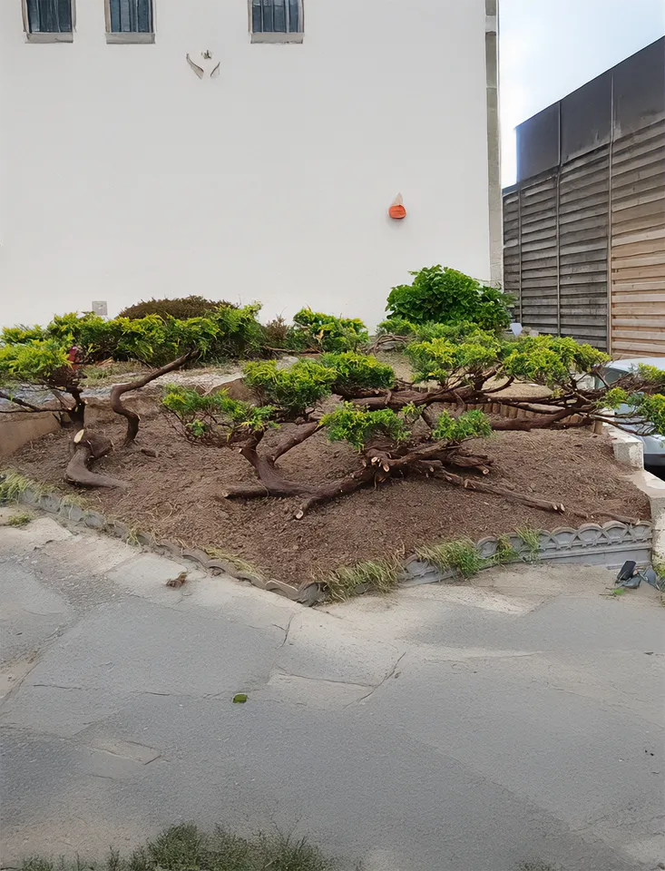 Concert Paysage Paysagiste Dans Les Cotes D Armor 22 SEPT 2025