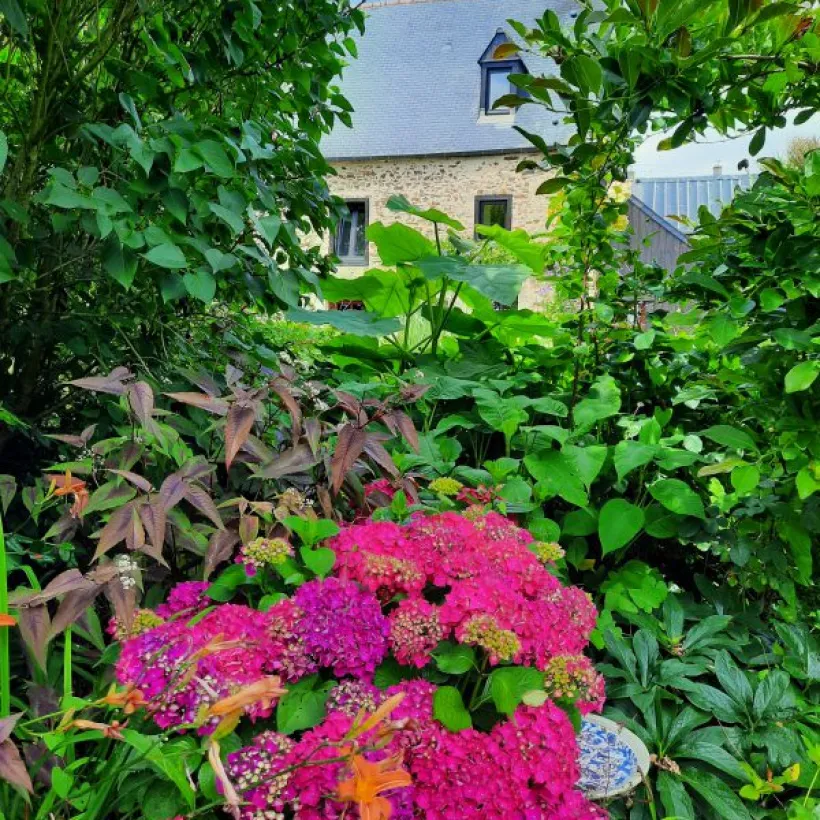 Concert Paysage Paysagiste Dans Les Cotes D Armor 22 Espaces Exterieurs 03