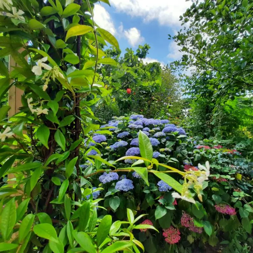 Concert Paysage Paysagiste Dans Les Cotes D Armor 22 Espaces Exterieurs 05